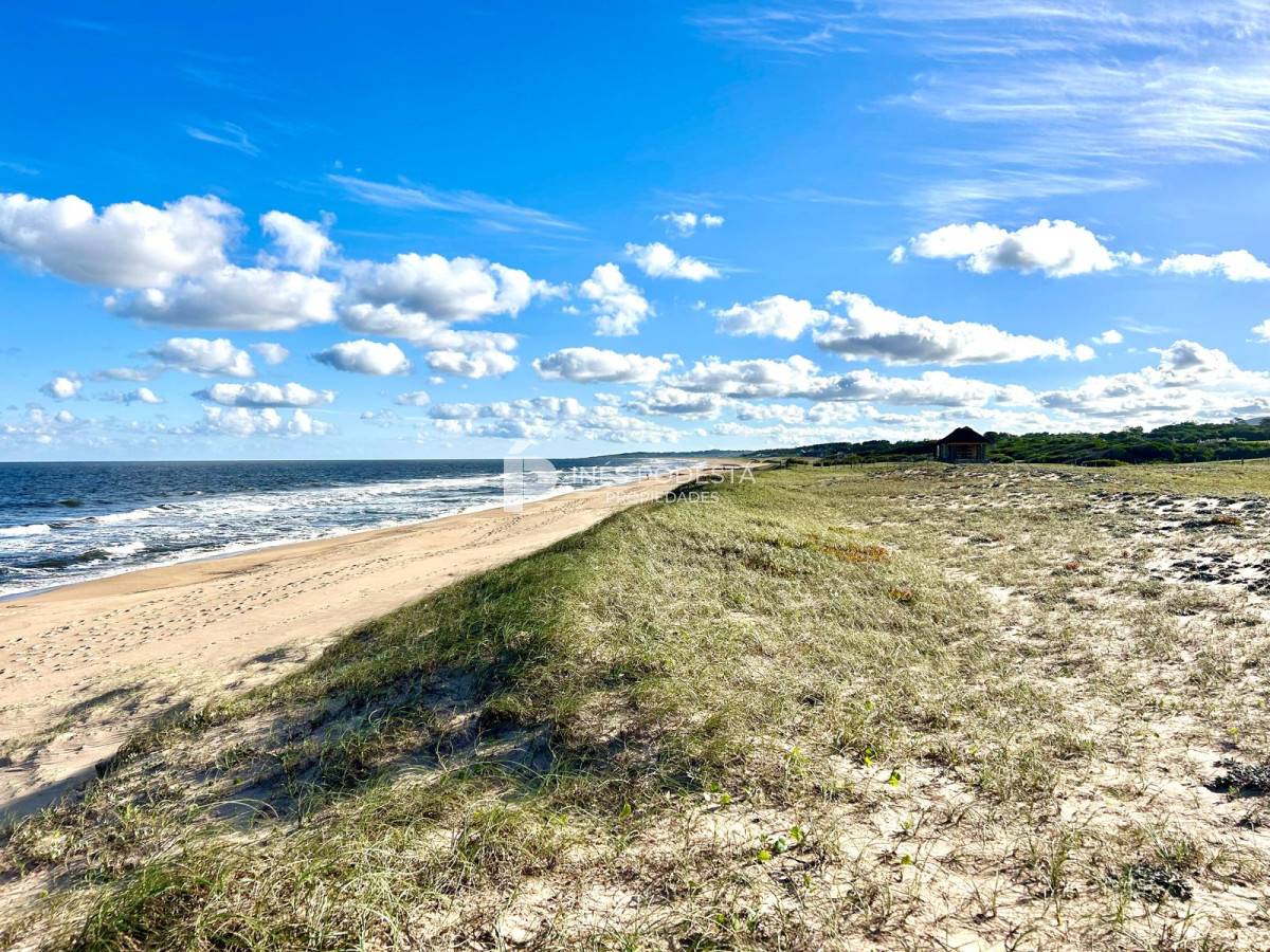 La Carolina - GoPunta - Portal Inmobiliario de Punta del Este - Maldonado