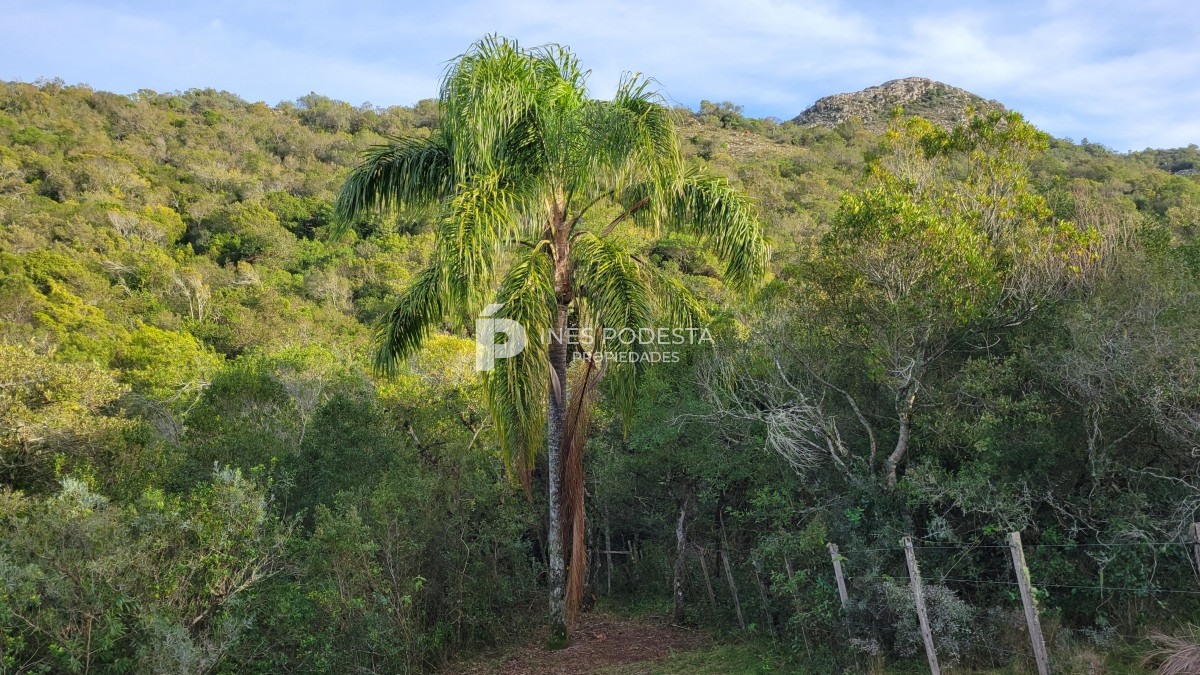 Chacra ID.39998 - Venta chacra  sobre ruta 12, Pueblo Eden