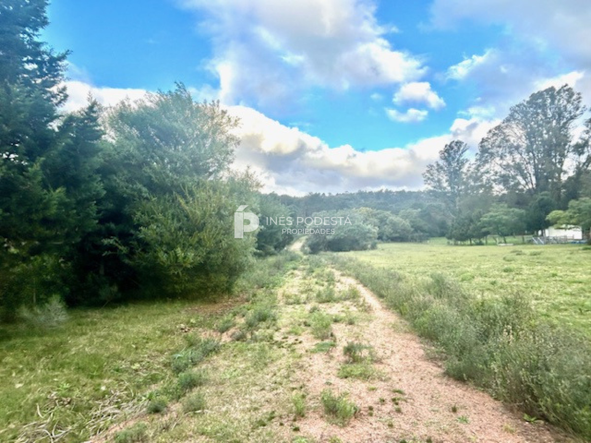 Laguna del Sauce - GoPunta - Portal Inmobiliario de Punta del Este - Maldonado