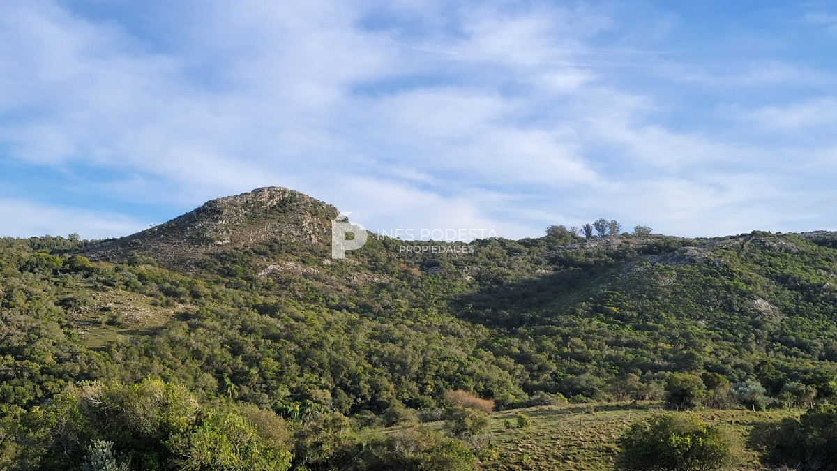 Chacra ID.39998 - Venta chacra  sobre ruta 12, Pueblo Eden