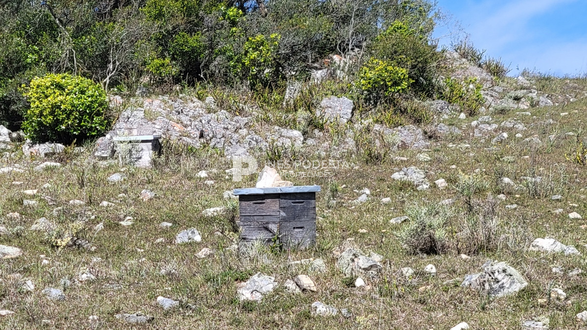 Chacra ID.39998 - Venta chacra  sobre ruta 12, Pueblo Eden