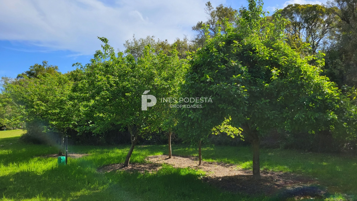 Chacra ID.39998 - Venta chacra  sobre ruta 12, Pueblo Eden