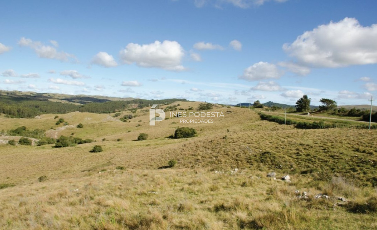 Chacra ID.37914 - Casa de Campo en Cumbres de Ramallo