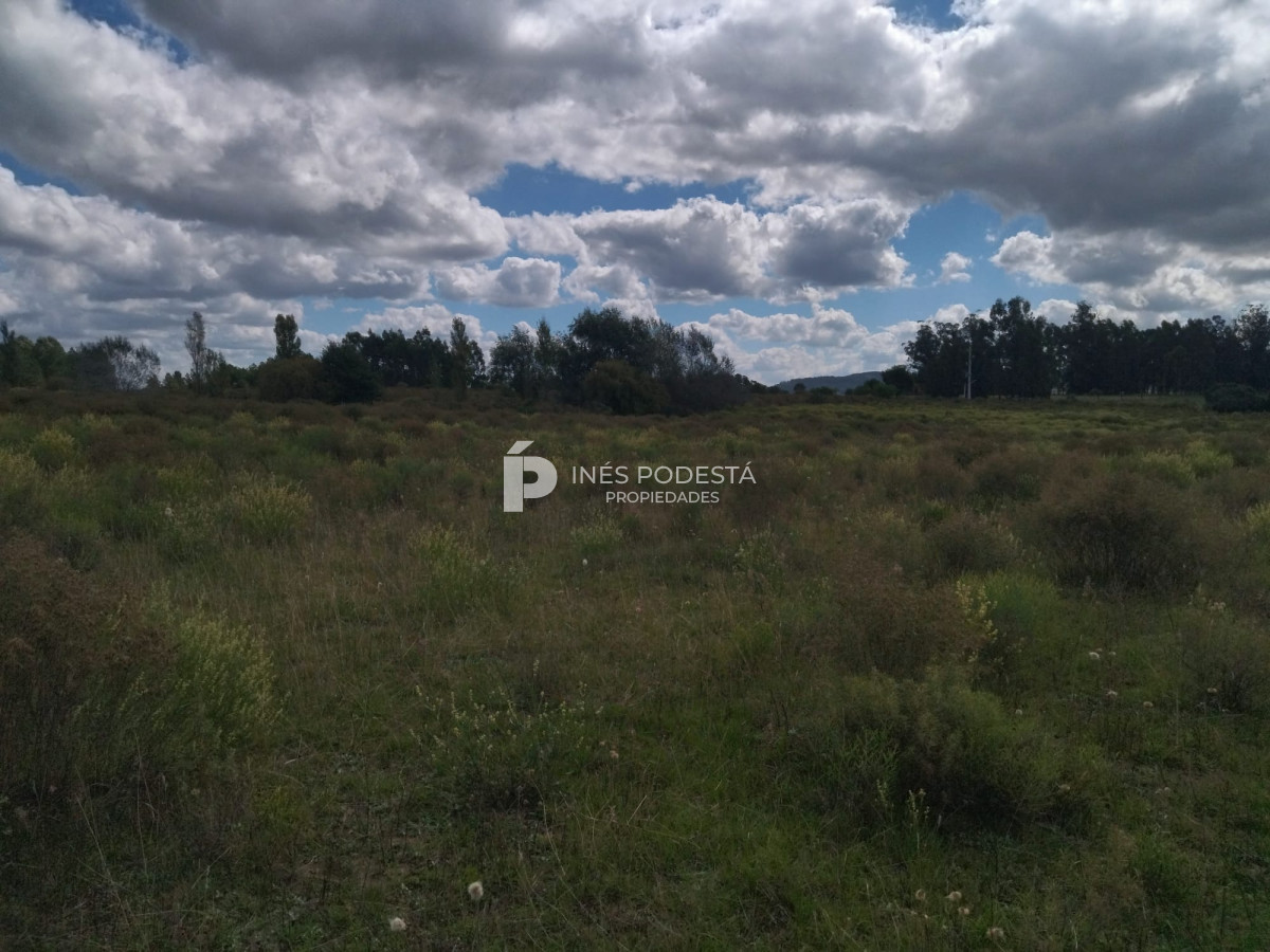 Pueblo Eden - GoPunta - Portal Inmobiliario de Punta del Este - Maldonado