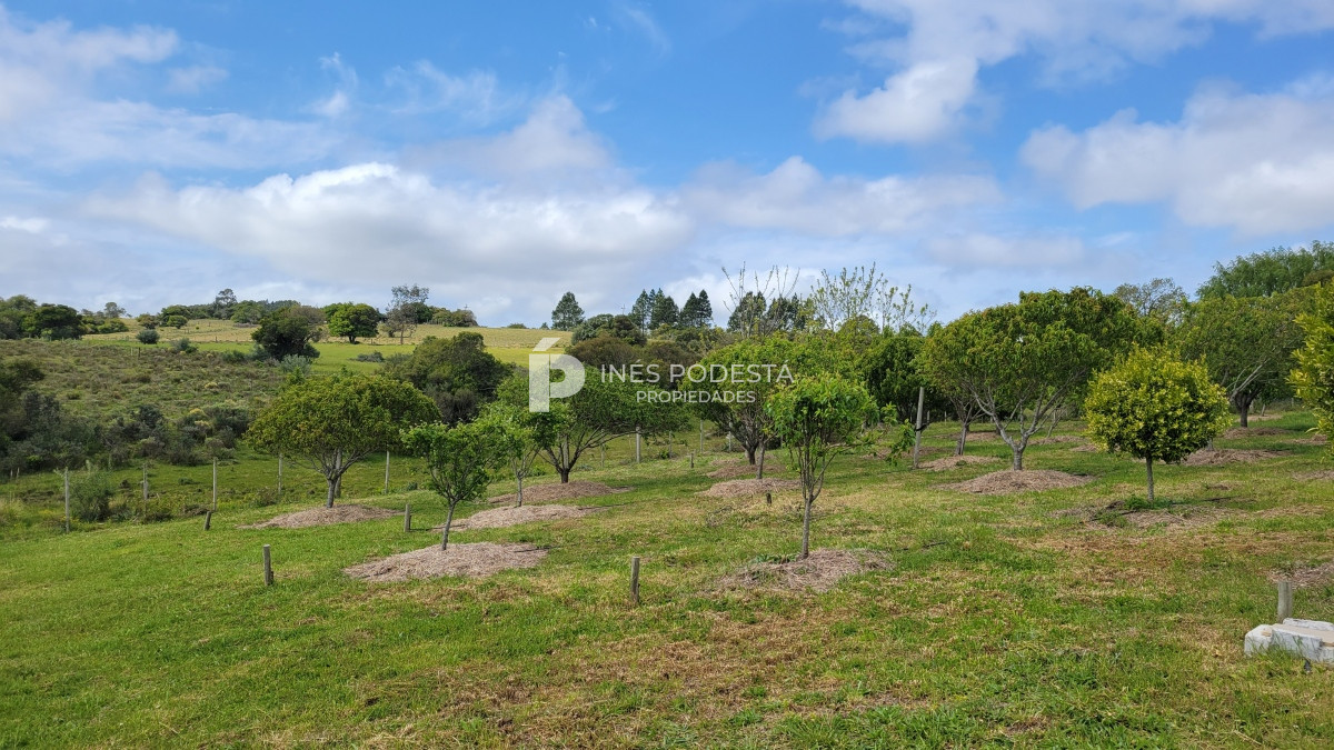 Chacra ID.39998 - Venta chacra  sobre ruta 12, Pueblo Eden