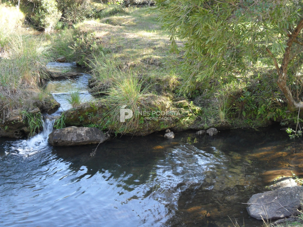 Chacra ID.39998 - Venta chacra  sobre ruta 12, Pueblo Eden