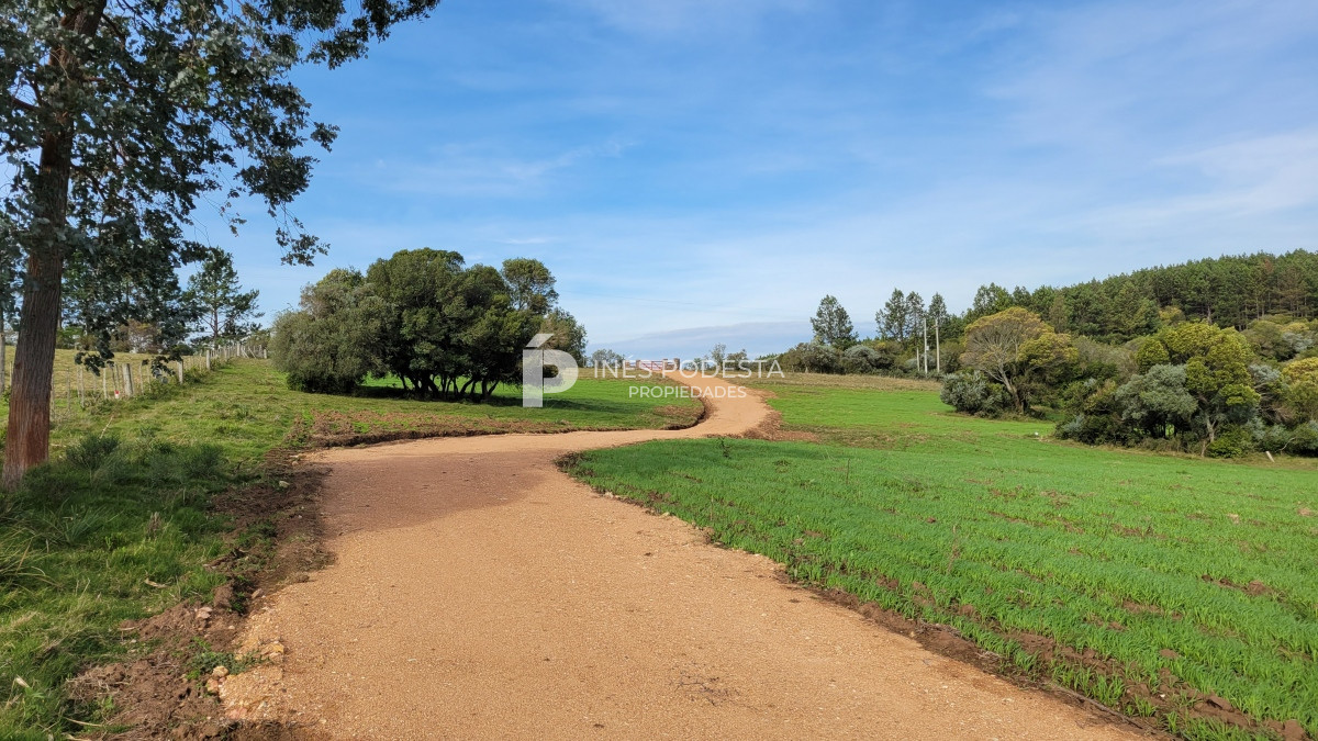 Pueblo Eden - GoPunta - Portal Inmobiliario de Punta del Este - Maldonado