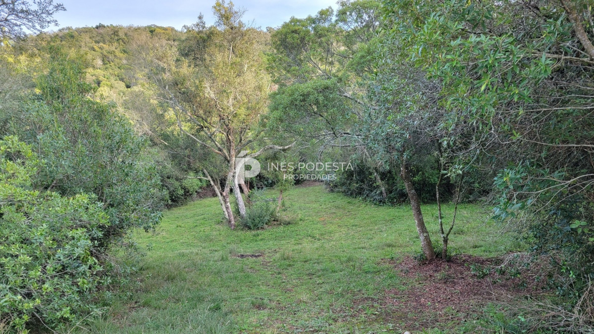 Chacra ID.39998 - Venta chacra  sobre ruta 12, Pueblo Eden