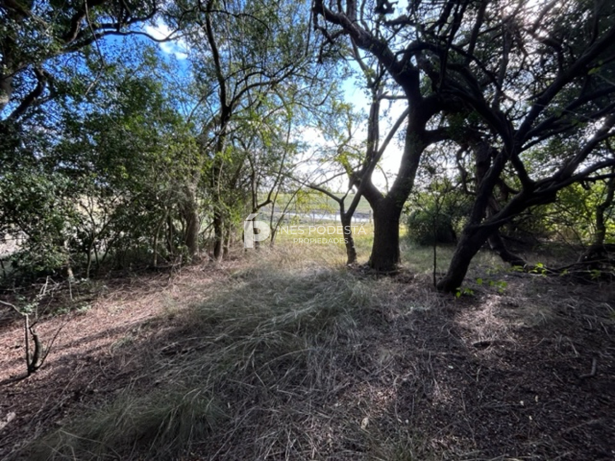 Chacra ID.39811 - Venta Chacra con casa en Solis