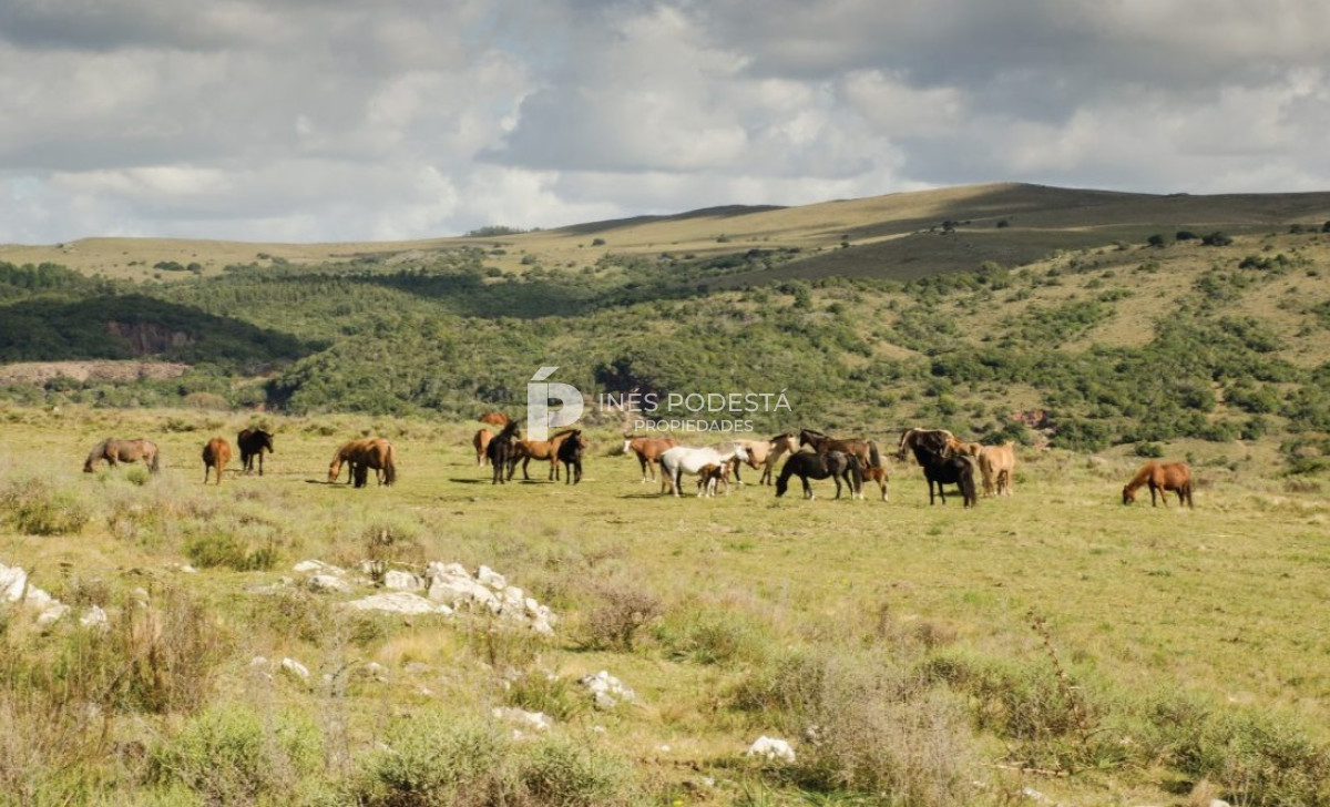 Chacra ID.37914 - Casa de Campo en Cumbres de Ramallo
