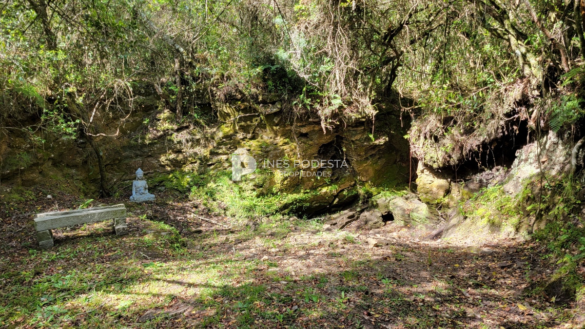 Chacra ID.39998 - Venta chacra  sobre ruta 12, Pueblo Eden