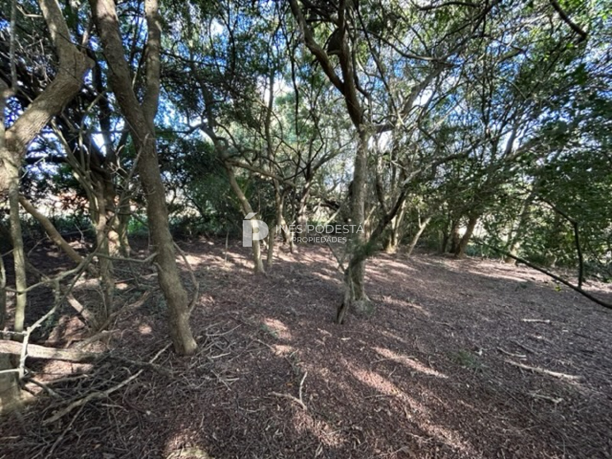 Chacra ID.39811 - Venta Chacra con casa en Solis