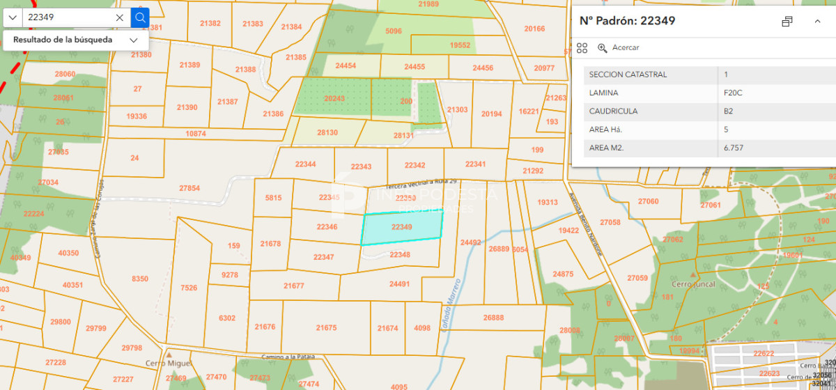 Chacra ID.41740 - Terreno en Venta de 11 hectáreas en La Pataia 
