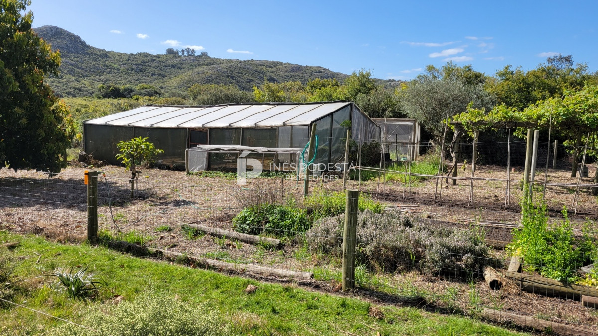 Chacra ID.39998 - Venta chacra  sobre ruta 12, Pueblo Eden