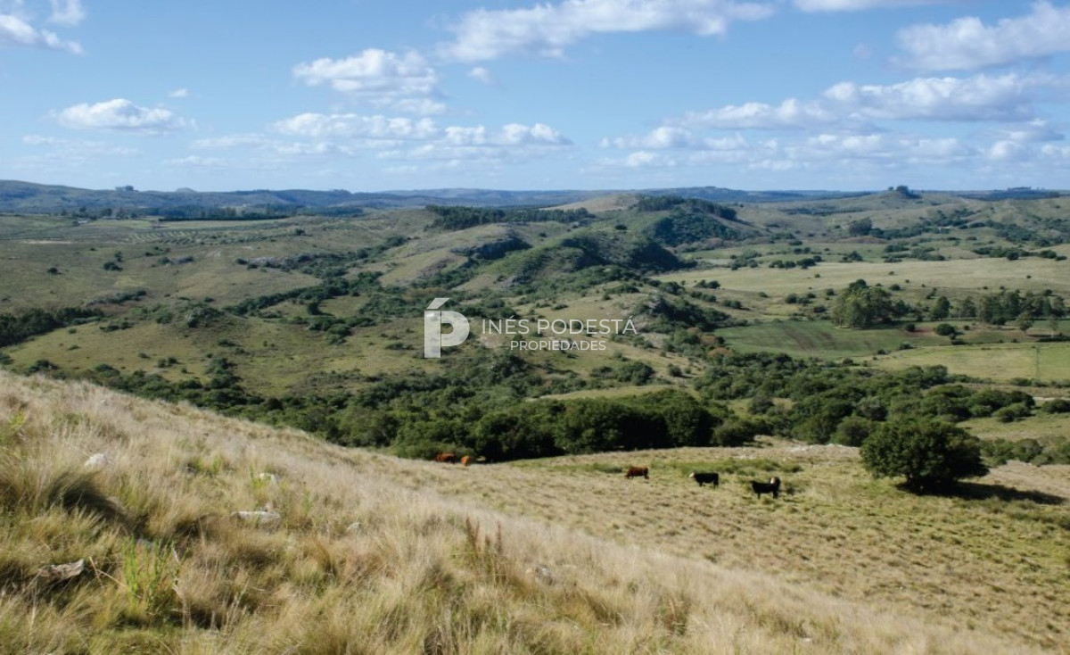 Chacra ID.37914 - Casa de Campo en Cumbres de Ramallo