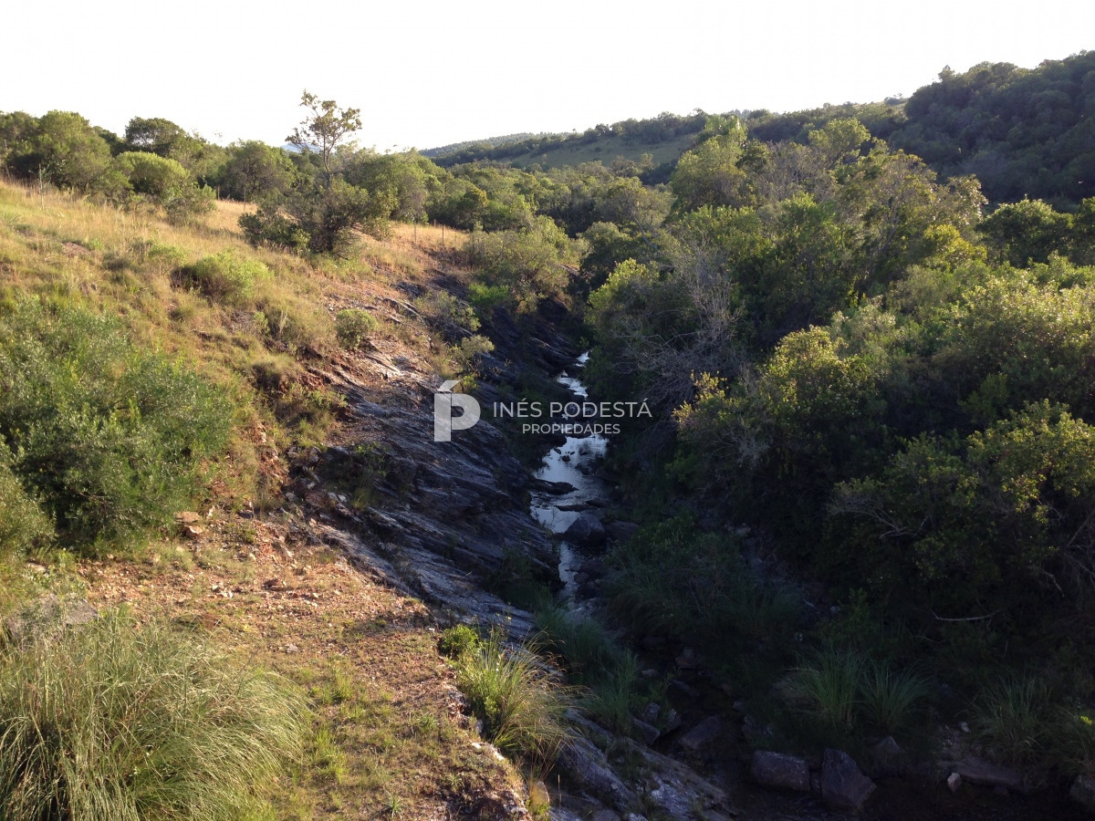 Chacra ID.39998 - Venta chacra  sobre ruta 12, Pueblo Eden