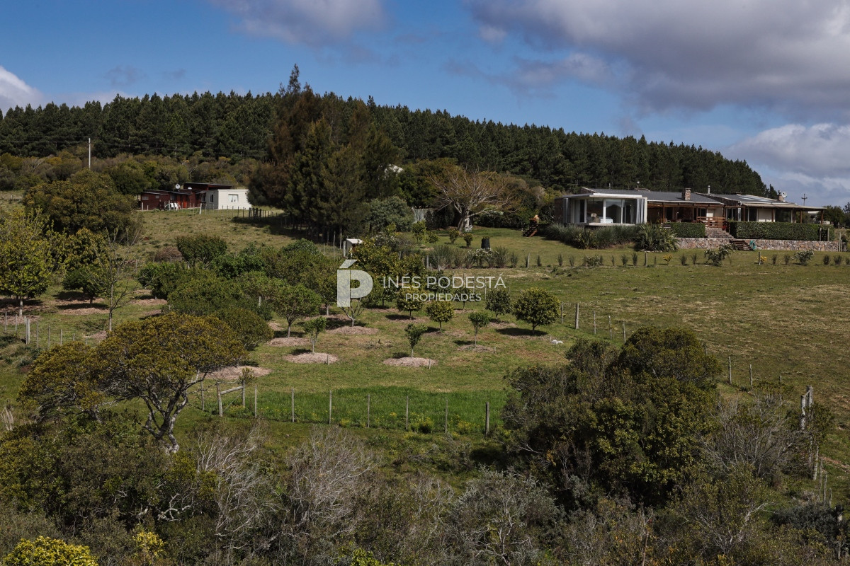 Chacra ID.39998 - Venta chacra  sobre ruta 12, Pueblo Eden