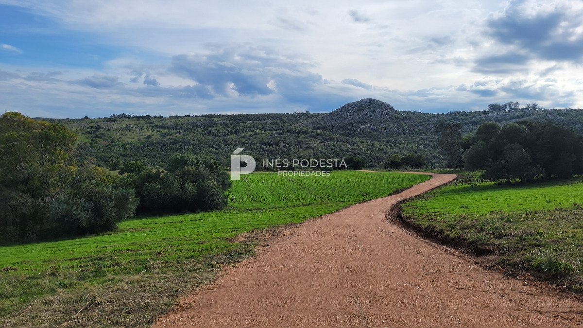 Pueblo Eden - GoPunta - Portal Inmobiliario de Punta del Este - Maldonado