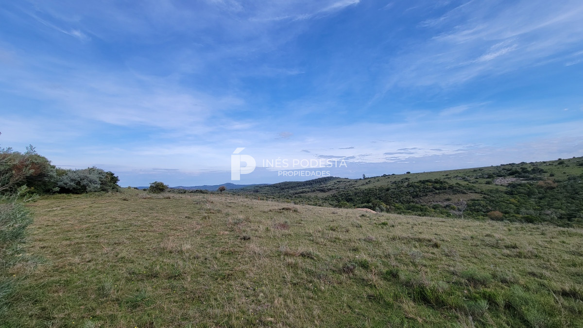 Chacra ID.39998 - Venta chacra  sobre ruta 12, Pueblo Eden