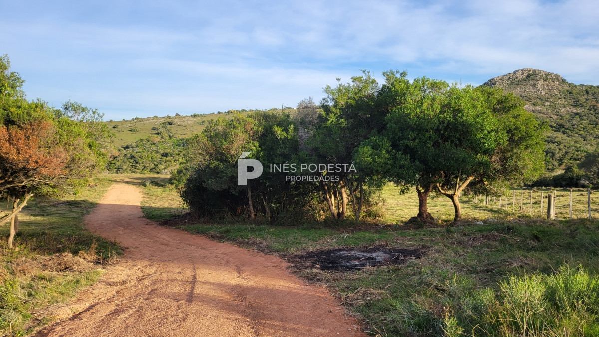 Pueblo Eden - GoPunta - Portal Inmobiliario de Punta del Este - Maldonado