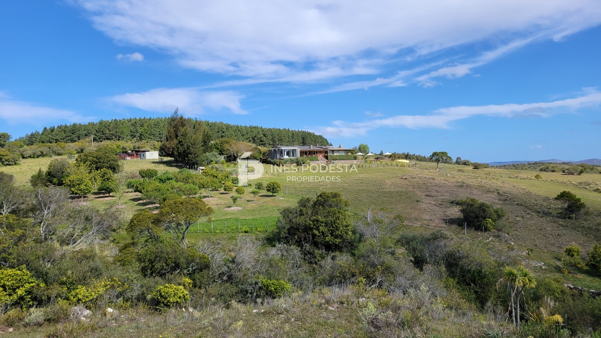 Chacra ID.39998 - Venta chacra  sobre ruta 12, Pueblo Eden