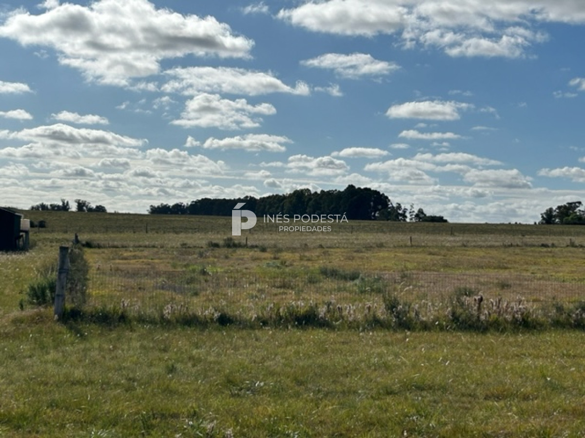 Chacra ID.39811 - Venta Chacra con casa en Solis