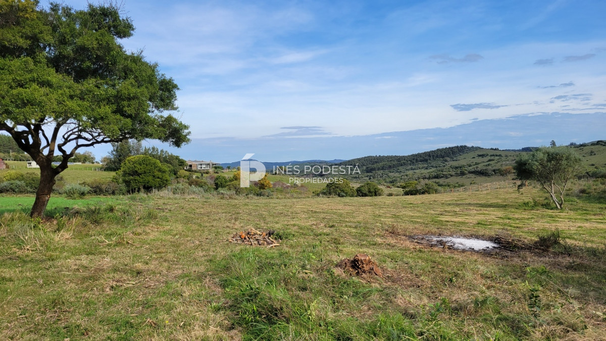 Chacra ID.39998 - Venta chacra  sobre ruta 12, Pueblo Eden