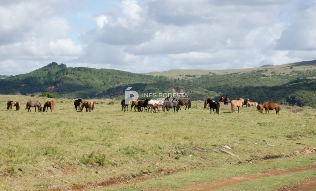 Chacra ID.37914 - Casa de Campo en Cumbres de Ramallo