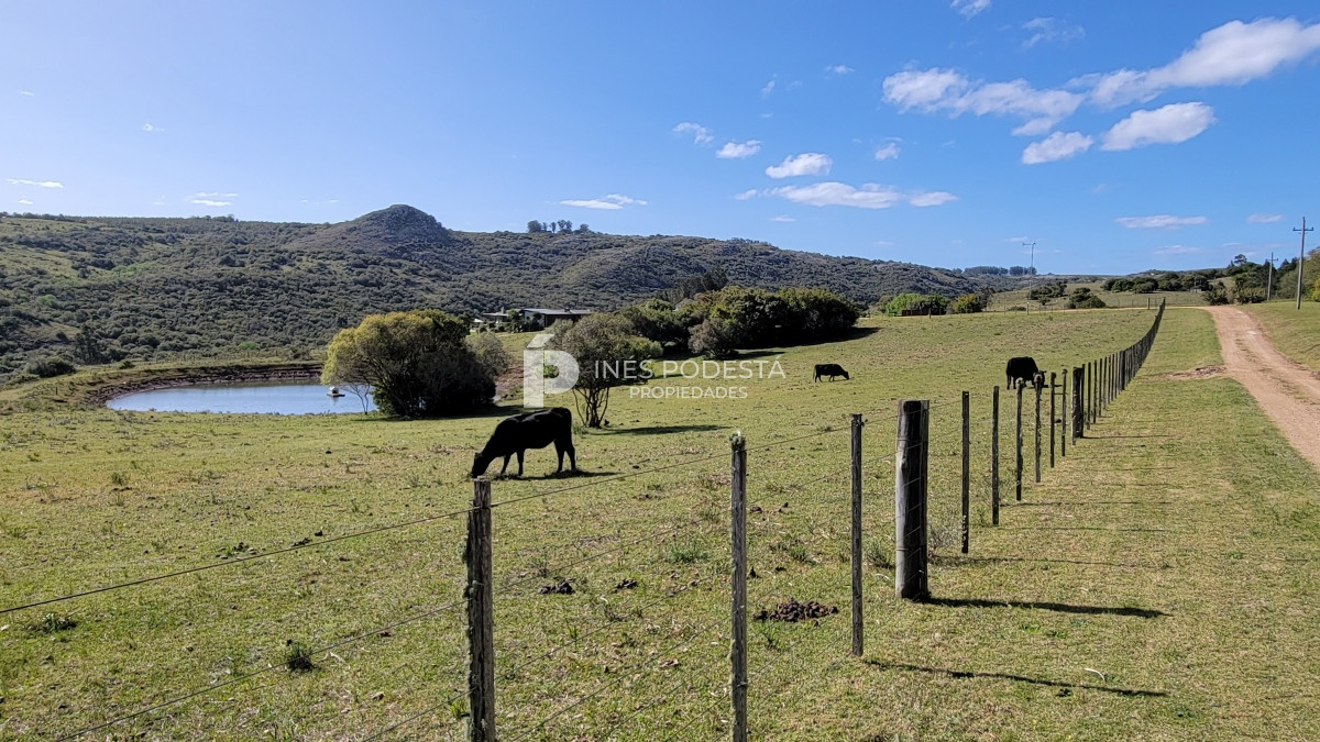 Chacra ID.39998 - Venta chacra  sobre ruta 12, Pueblo Eden