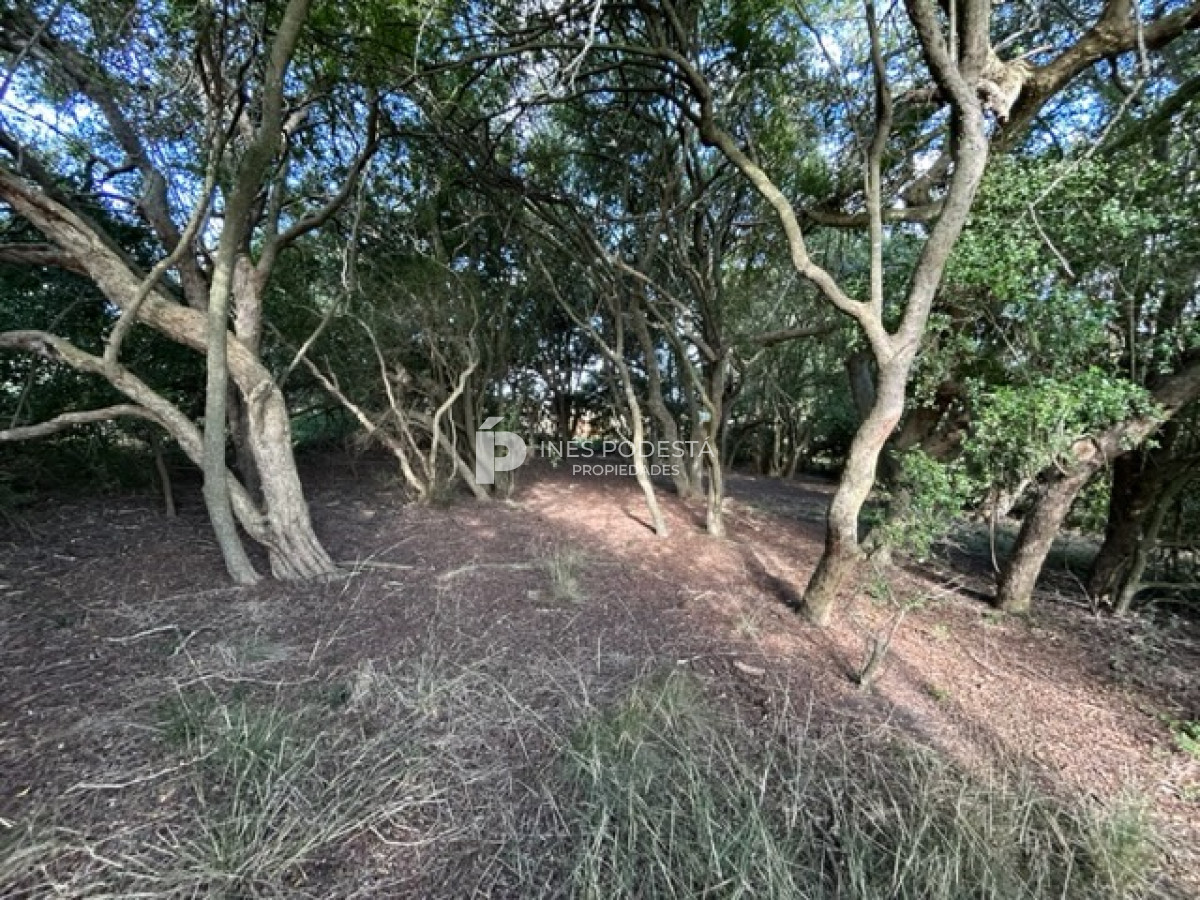 Chacra ID.39811 - Venta Chacra con casa en Solis