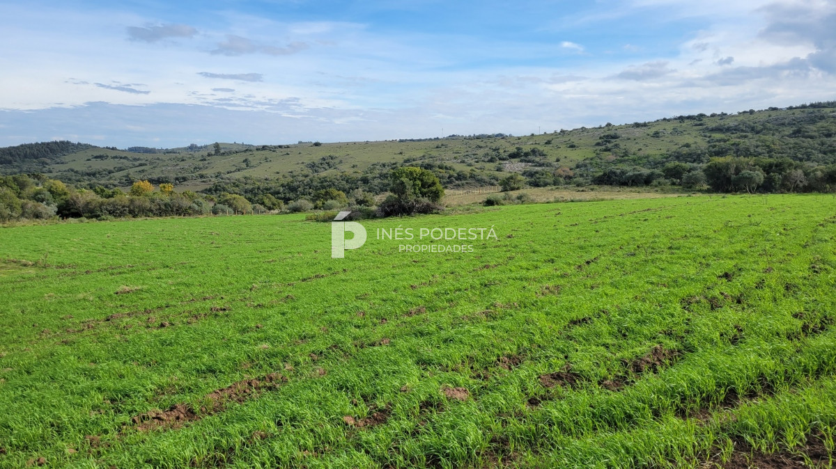 Pueblo Eden - GoPunta - Portal Inmobiliario de Punta del Este - Maldonado