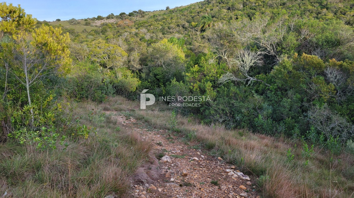 Chacra ID.39998 - Venta chacra  sobre ruta 12, Pueblo Eden