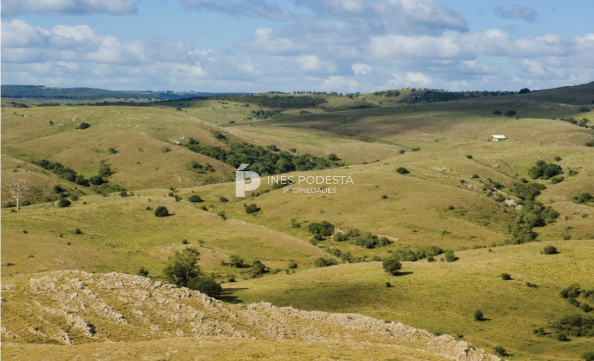 Chacra ID.37914 - Casa de Campo en Cumbres de Ramallo