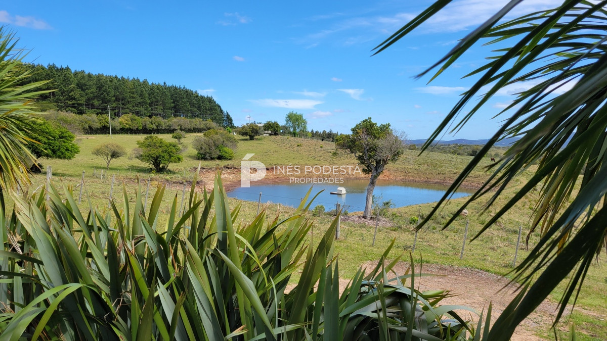 Chacra ID.39998 - Venta chacra  sobre ruta 12, Pueblo Eden