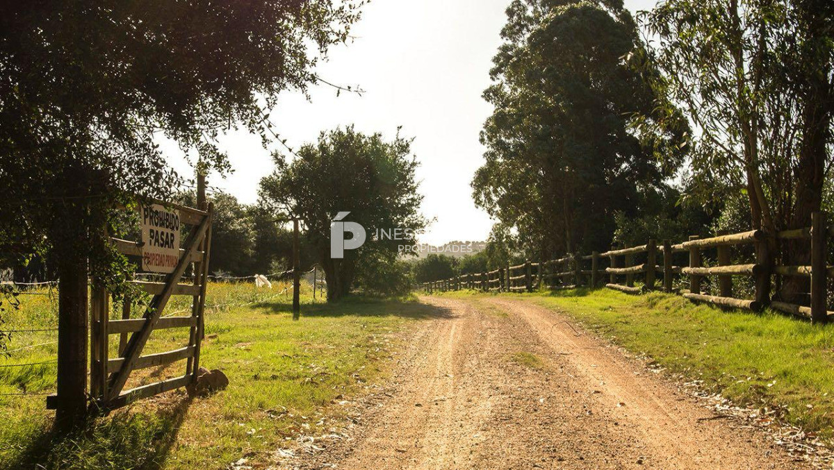 La Pataia - GoPunta - Portal Inmobiliario de Punta del Este - Maldonado