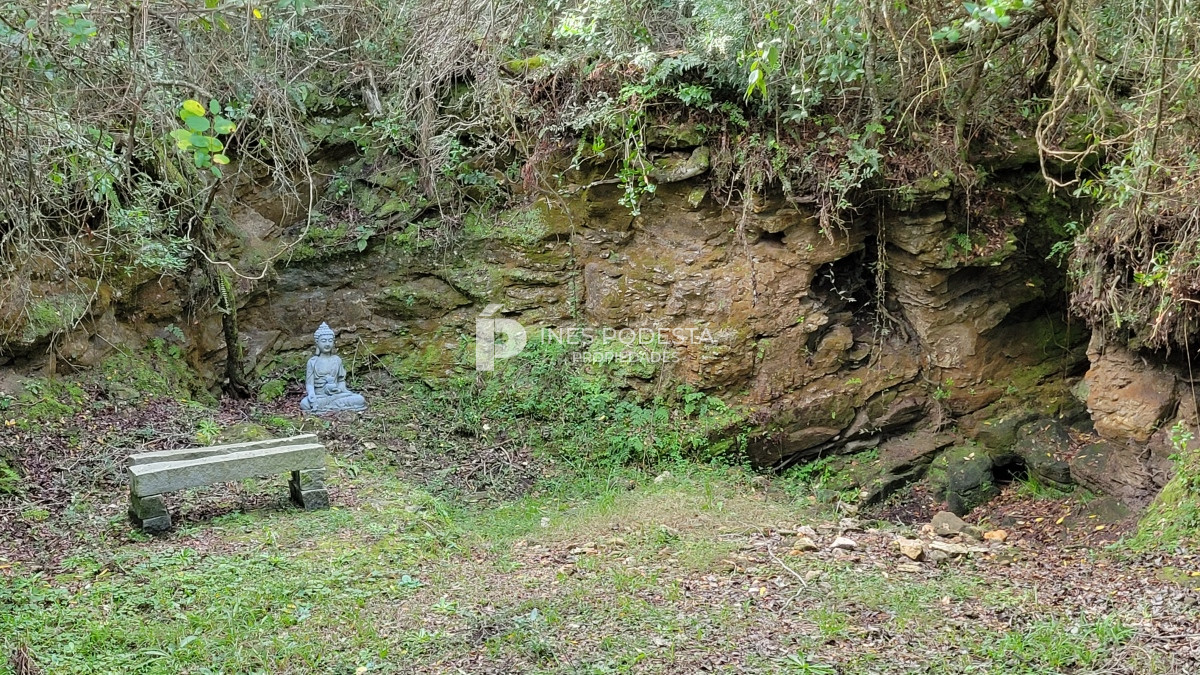 Chacra ID.39998 - Venta chacra  sobre ruta 12, Pueblo Eden