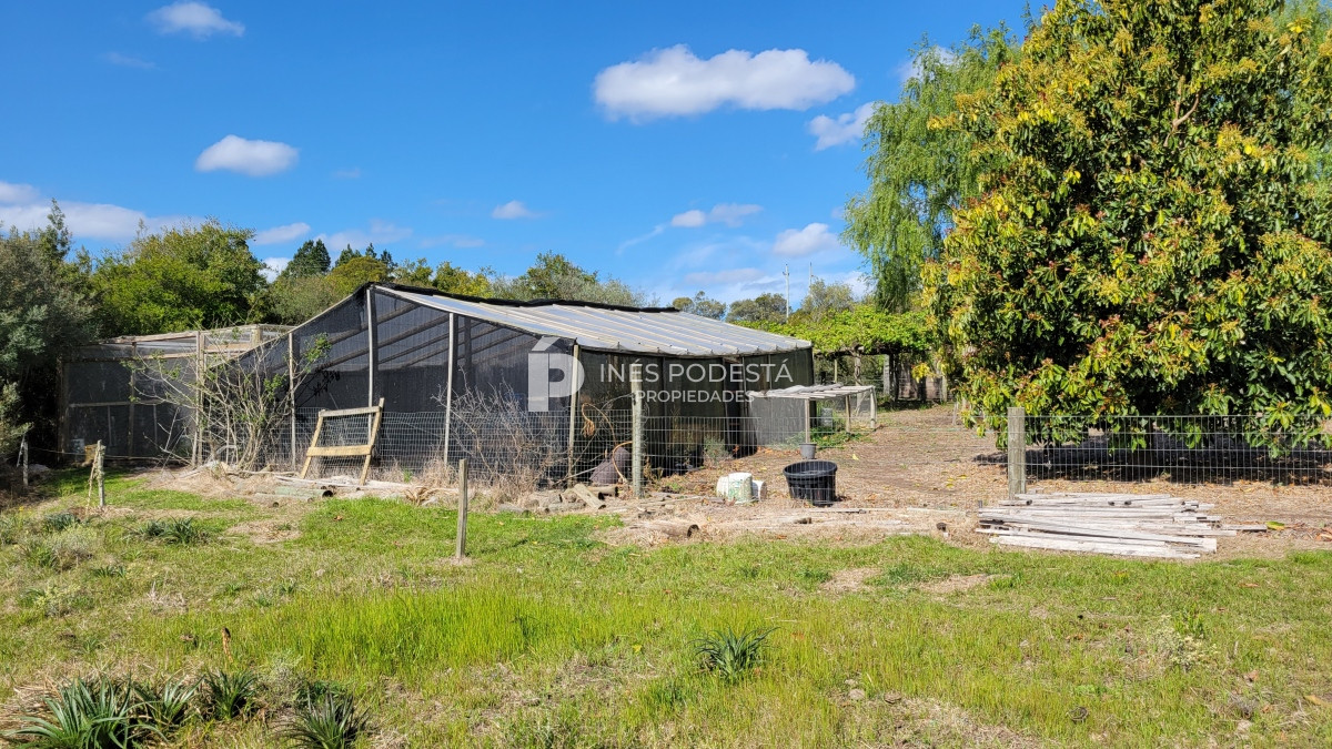 Chacra ID.39998 - Venta chacra  sobre ruta 12, Pueblo Eden