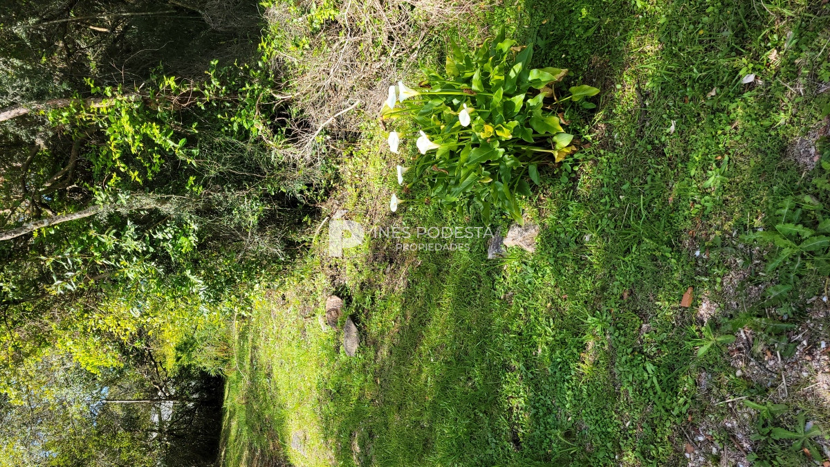 Chacra ID.39998 - Venta chacra  sobre ruta 12, Pueblo Eden