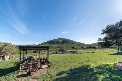 Cerro Betete