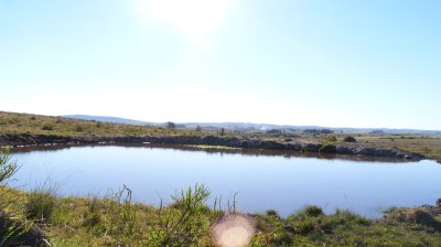 Chacra de 5 héctareas 