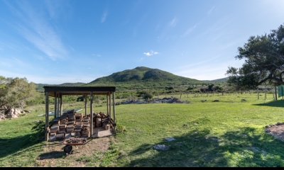 Cerro Betete