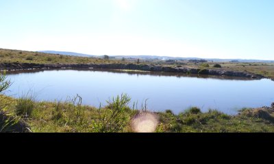 Chacra de 5 hectáreas