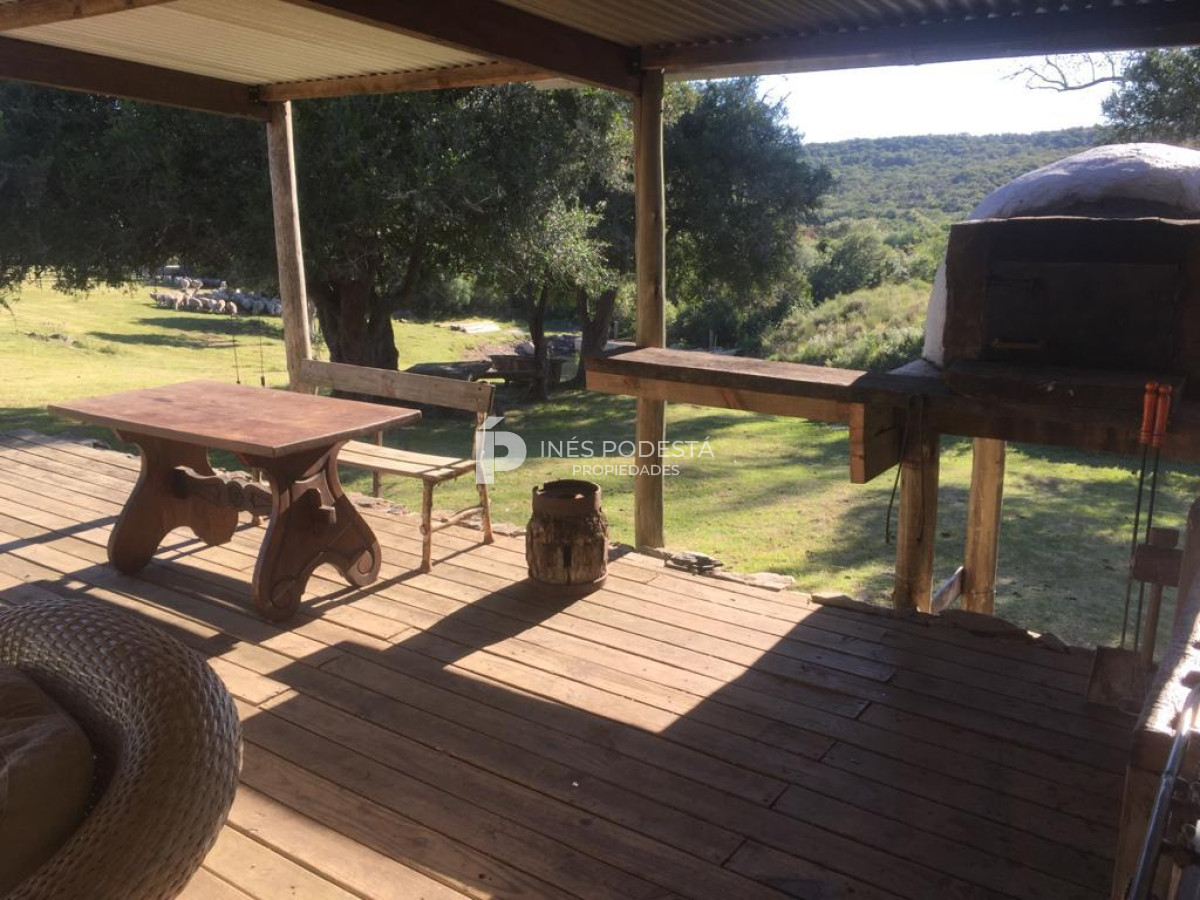 Campo Ref.41376 - Venta de 384 hc próximo a Sierra de Carapé