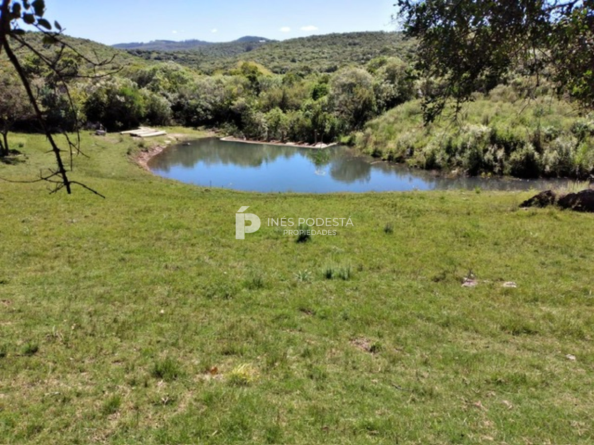 Campo Ref.41377 - Venta de 344 hc próximo a Sierra de Carapé