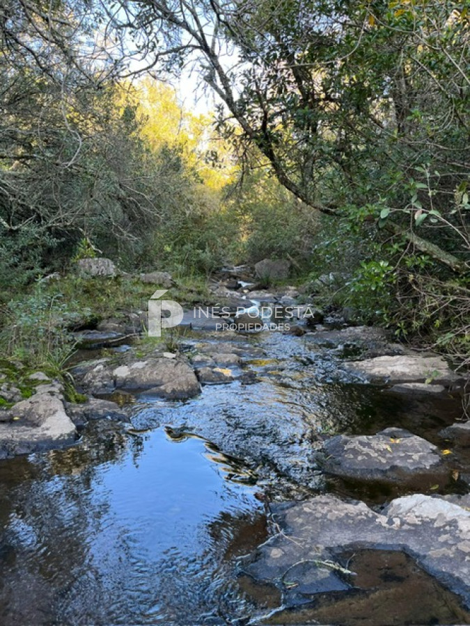 Campo Ref.41375 - Venta 44 hc con importante salto de agua  en Sierra de Carapé