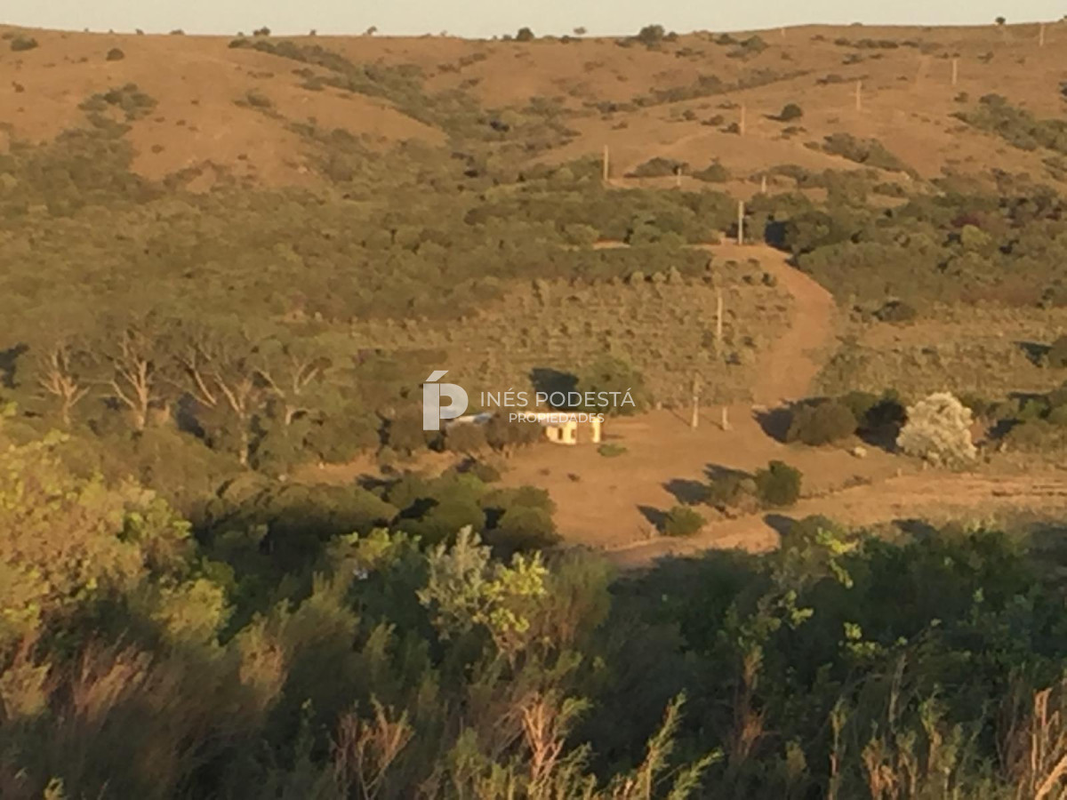 Campo Ref.41375 - Venta 44 hc con importante salto de agua  en Sierra de Carapé