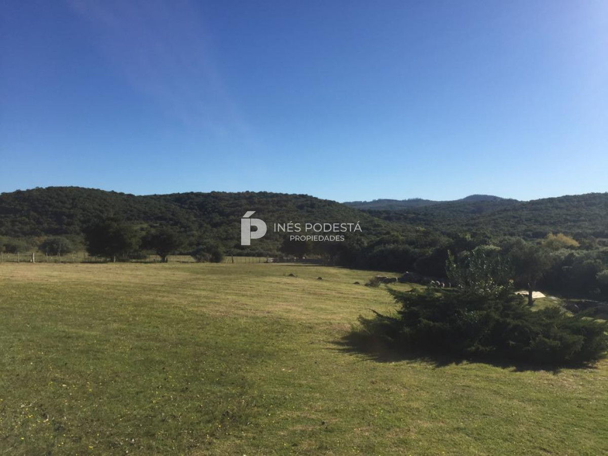 Venta de 384 hc próximo a Sierra de Carapé - GoPunta - Portal Inmobiliario de Punta del Este - Maldonado