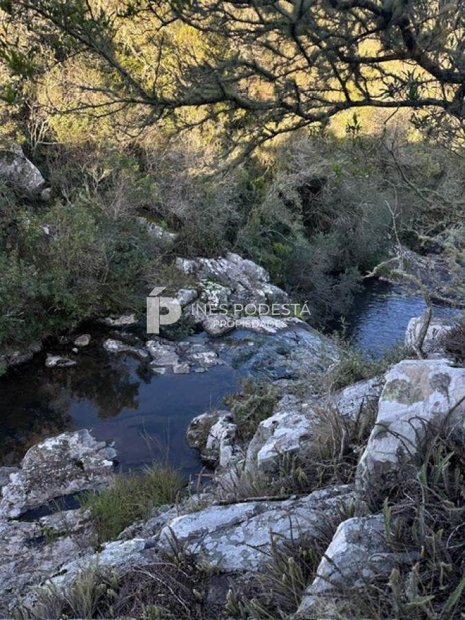 Campo Ref.41375 - Venta 44 hc con importante salto de agua  en Sierra de Carapé