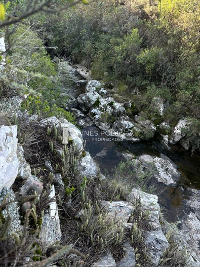 Campo Ref.41375 - Venta 44 hc con importante salto de agua  en Sierra de Carapé