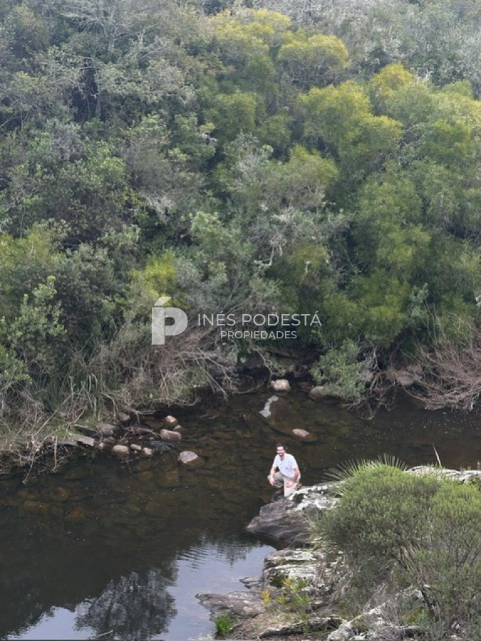 Campo Ref.41377 - Venta de 344 hc próximo a Sierra de Carapé